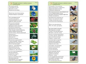 Комплект карточек (10) "Обучающий калейдоскоп. Природа" - fgospostavki.ru - Уфа