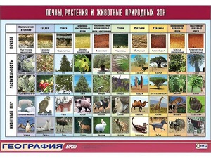 Таблица демонстрационная "Почвы, растения и животные природных зон" (винил 70*100) - fgospostavki.ru - Уфа