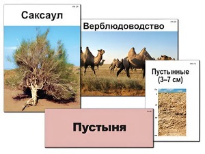Модель-аппликация "Природные зоны России" (ламинированная) - fgospostavki.ru - Уфа