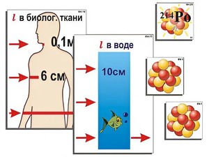Модель-аппликация "Явление радиоактивности" (ламинированная) - fgospostavki.ru - Уфа