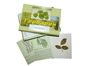 Гербарий "Дикорастущие растения" (30 видов, с иллюстрациями) - fgospostavki.ru - Уфа