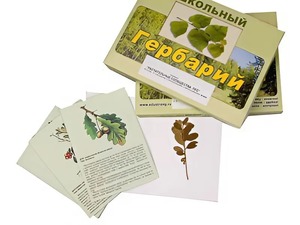 Гербарий "Растительные сообщества. Лес" (9 видов, 10 планшетов, с иллюстрациями и фотографиями) - fgospostavki.ru - Уфа