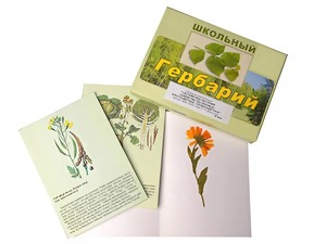 Гербарий "Систематика растений. Семейство Пасленовые. Крестоцветные. Сложноцветные" (раздаточный) - fgospostavki.ru - Уфа