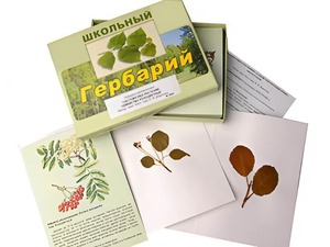 Гербарий "Систематика растений. Семейство Розоцветные" (раздаточный) - fgospostavki.ru - Уфа