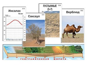 Модель-аппликация "Природные зоны" - fgospostavki.ru - Уфа