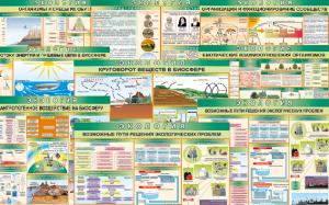 Комплект таблиц "Экология (9 листов)" (100х140 сантиметров, винил) - fgospostavki.ru - Уфа