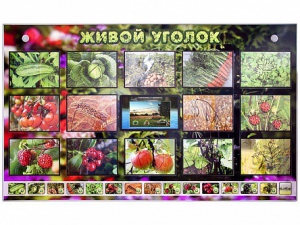 Комплект оборудования "Живой уголок" (растения) с тифлопереводом и сурдокомментариями - fgospostavki.ru - Уфа