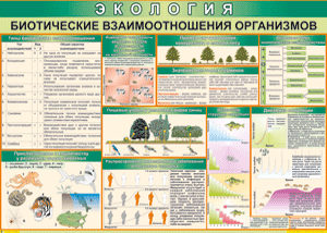 Таблица "Биотические взаимоотношения организмов" (100х140 сантиметров, винил) - fgospostavki.ru - Уфа