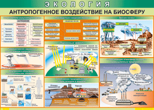 Таблица "Антропогенное воздействие на биосферу" (100х140 сантиметров, винил) - fgospostavki.ru - Уфа
