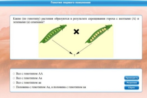 Интерактивные курсы. Биология 11 класс. Базовый. - fgospostavki.ru - Уфа