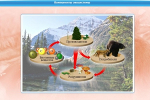 Интерактивные курсы. Биология 7 класс. Базовый. - fgospostavki.ru - Уфа