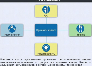 Интерактивные курсы. Биология 5 класс. Базовый - fgospostavki.ru - Уфа