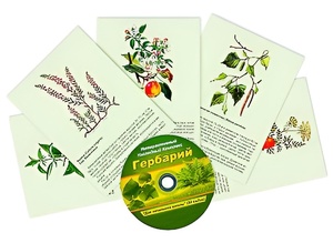 Интерактивный наглядный комплекс "Гербарий "Для начальной школы" - fgospostavki.ru - Уфа