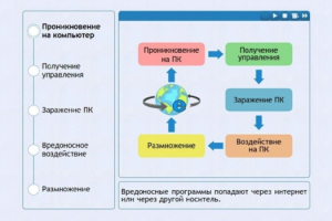 Интерактивные курсы. Информатика 10 класс . Базовый. - fgospostavki.ru - Уфа