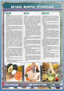 Стенд "Белки. Жиры. Углеводы" - fgospostavki.ru - Уфа