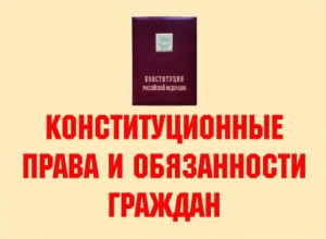 Комплект плакатов "Конституционные права и обязанности граждан" - fgospostavki.ru - Уфа