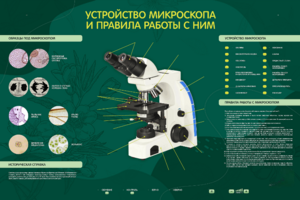Электрифицированный стенд "Устройство микроскопа и правила работы c ним" - fgospostavki.ru - Уфа