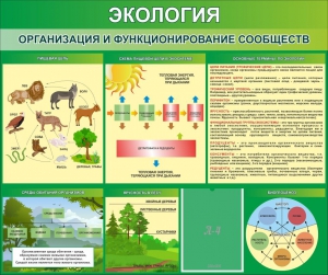 Стенд "Экология. Организация и функционирование сообществ" - fgospostavki.ru - Уфа