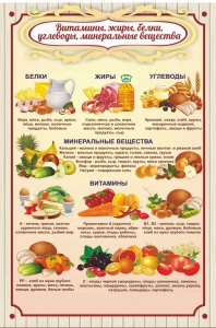 Стенд "Витамины, жиры, белки" - fgospostavki.ru - Уфа