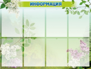 Стенд "Информация" Вариант 13 - fgospostavki.ru - Уфа