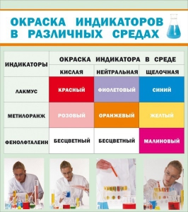 Стенд "Окраска индикаторов в различных средах" - fgospostavki.ru - Уфа