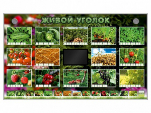 Комплект оборудования "Живой уголок" (растения) - fgospostavki.ru - Уфа
