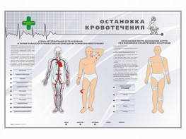 Электрифицированный стенд "Остановка кровотечения" - fgospostavki.ru - Уфа