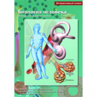 Интерактивные плакаты. Биология человека. Программно-методический комплекс - fgospostavki.ru - Уфа