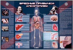 Электрифицированный стенд "Вредные привычки: алкоголизм" - fgospostavki.ru - Уфа