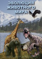DVD "Эволюция животного мира" - fgospostavki.ru - Уфа
