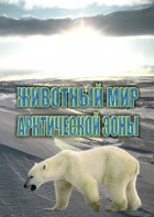 DVD "Животный мир Арктической зоны" - fgospostavki.ru - Уфа