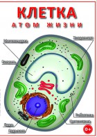 DVD "Клетка - "атом жизни" - fgospostavki.ru - Уфа
