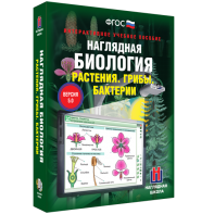 Наглядная биология. 6 класс. Растения. Грибы. Бактерии - fgospostavki.ru - Уфа