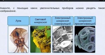 Интерактивные курсы. Биология 5 класс. Расширенный - fgospostavki.ru - Уфа