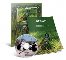 Электронное наглядное пособие «Птицы» - fgospostavki.ru - Уфа