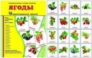 Демонстрационные карточки "Ягоды" - fgospostavki.ru - Уфа