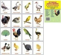 Раздаточные карточки "Птицы домашние и декоративные" - fgospostavki.ru - Уфа