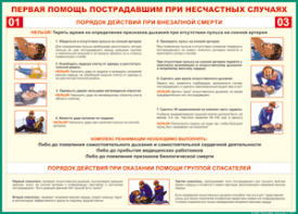 Таблица "Порядок действий при внезапной смерти" (100х140 сантиметров, винил) - fgospostavki.ru - Уфа