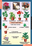 Комплект таблиц. Окружающий мир 1 класс. - fgospostavki.ru - Уфа