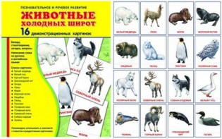 Демонстрационные карточки "Животные холодных широт" - fgospostavki.ru - Уфа