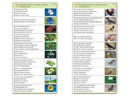 Комплект карточек (10) "Обучающий калейдоскоп. Природа" - fgospostavki.ru - Уфа
