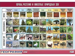 Таблица демонстрационная "Почвы, растения и животные природных зон" (винил 70*100) - fgospostavki.ru - Уфа