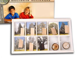 Коллекция "Древесные растения и их распространение" (раздаточная) - fgospostavki.ru - Уфа