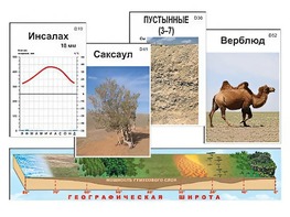 Модель-аппликация "Природные зоны" - fgospostavki.ru - Уфа