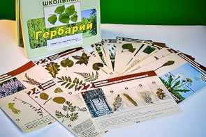Гербарий к курсу основ общей биологии - fgospostavki.ru - Уфа