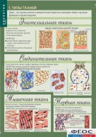 Комплект таблиц. Биология 8-9 класс. Человек. - fgospostavki.ru - Уфа