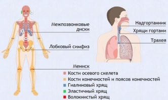 Интерактивные курсы. Биология 9 класс. Базовый. - fgospostavki.ru - Уфа