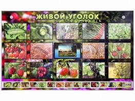 Комплект оборудования "Живой уголок" (растения) с тифлопереводом и сурдокомментариями - fgospostavki.ru - Уфа