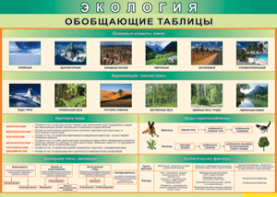 Таблица "Экология. Обобщающие таблицы" (100х140 сантиметров, винил) - fgospostavki.ru - Уфа