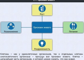 Интерактивные курсы. Биология 5 класс. Базовый - fgospostavki.ru - Уфа